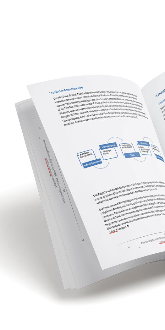 Was Ihr Marketing verschweigt PDF